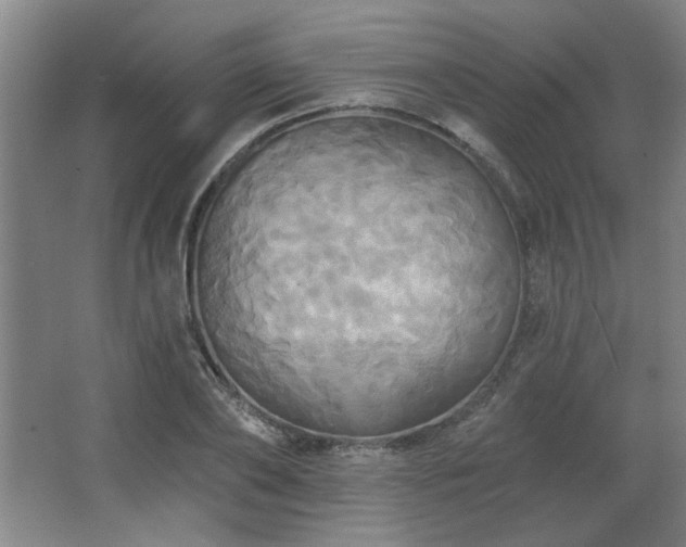 X0000067350886200603311149