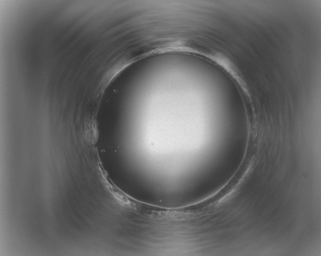 X0000067350905200603311149
