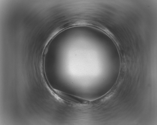 X0000067350909200603311149