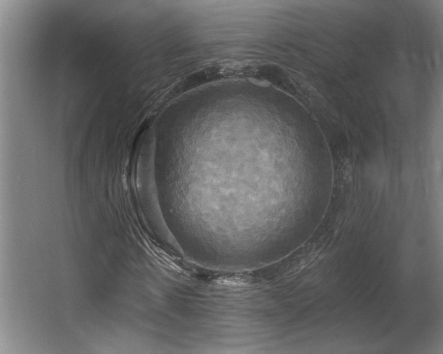 X0000067350914200603311148