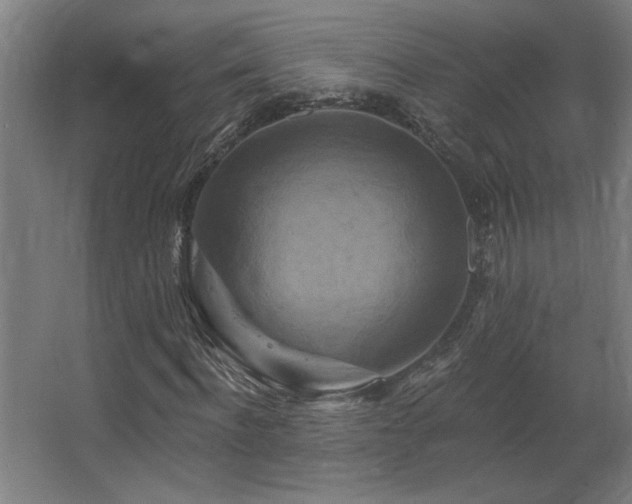 X0000067350916200603311148