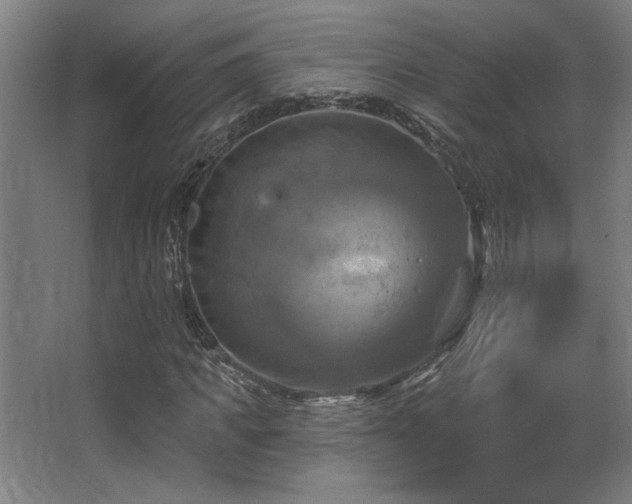 X0000067350917200603311148
