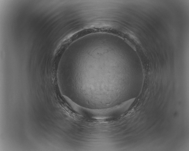 X0000067350920200603311148