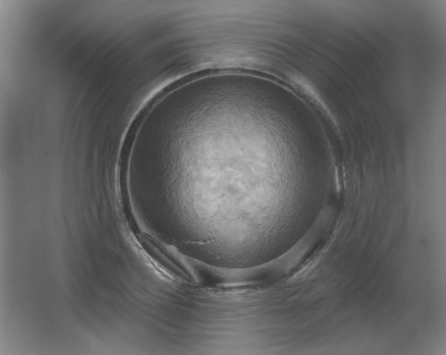 X0000067350932200603311148