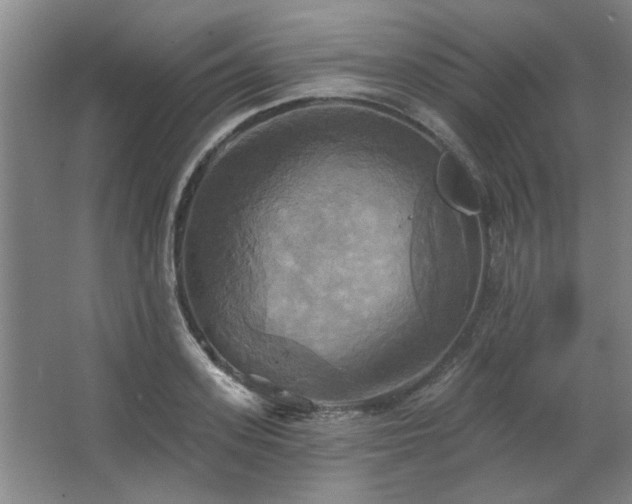 X0000067350939200603311148