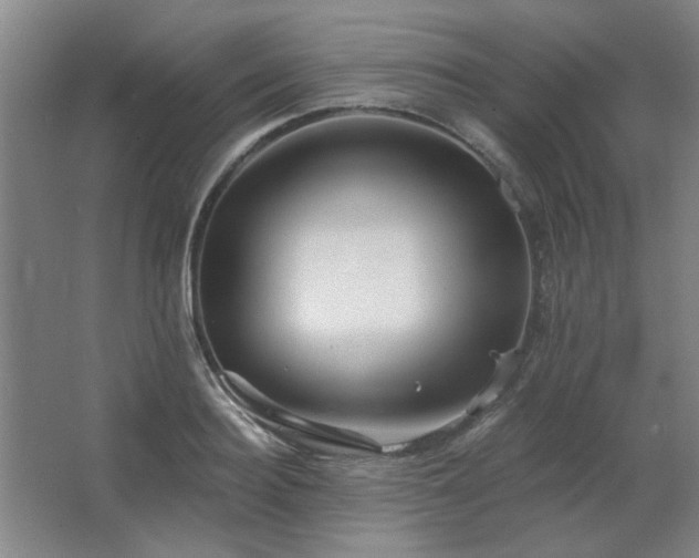 X0000067350940200603311148
