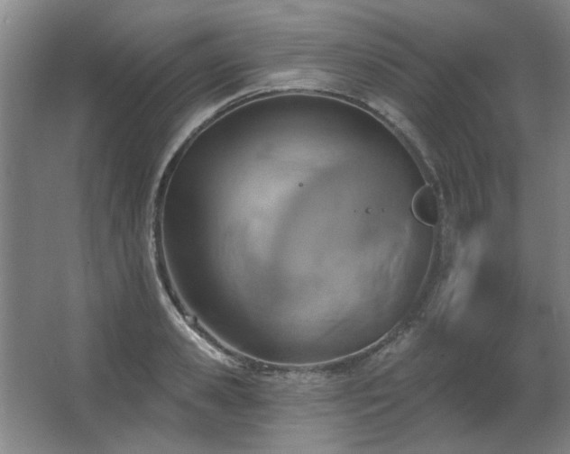 X0000067350941200603311148