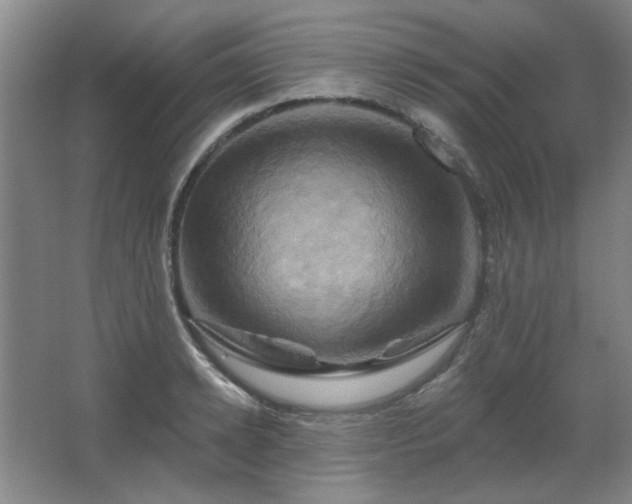 X0000067350942200603311148