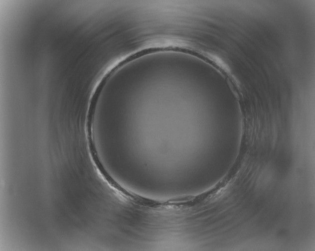 X0000067350943200603311148