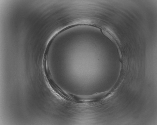 X0000067350944200603311148