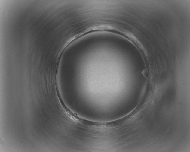 X0000067350945200603311148