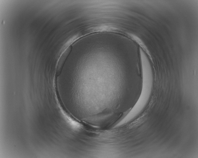 X0000067350946200603311148