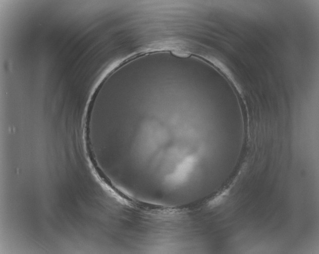 X0000067350949200603311148
