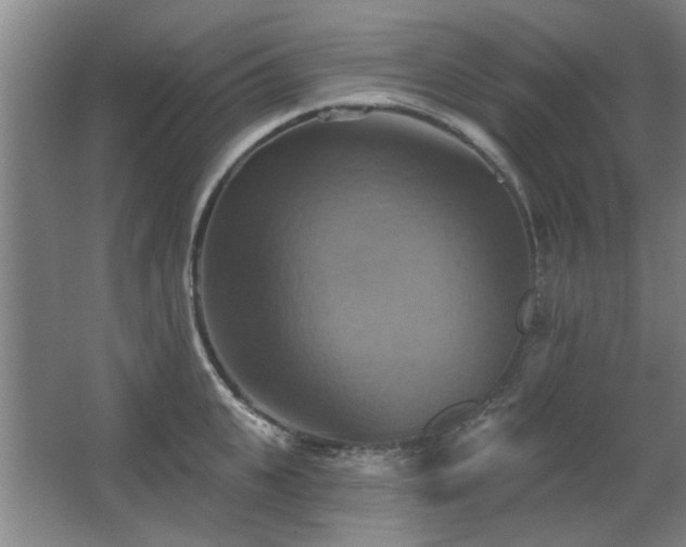X0000067350951200603311149