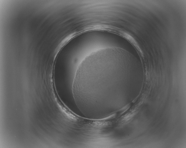 X0000067350954200603311149