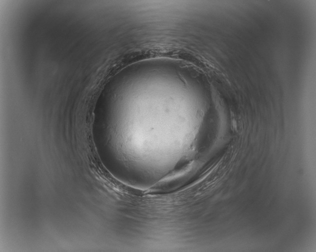X0000067350961200603311148