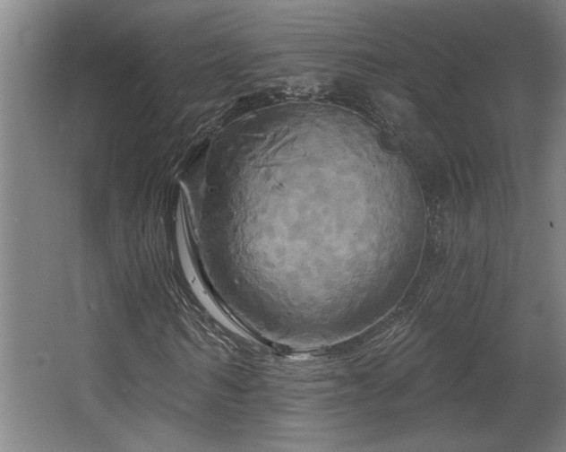 X0000067350962200603311148