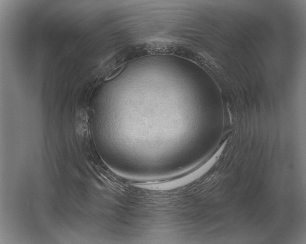 X0000067350964200603311148