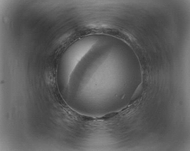X0000067350966200603311148