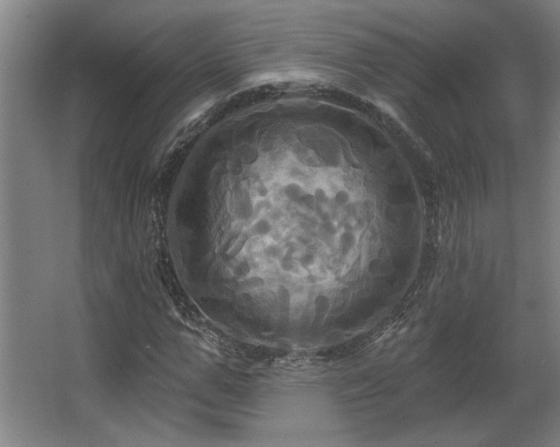 X0000067350967200603311148