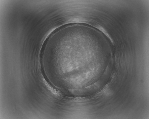 X0000067350972200603311148