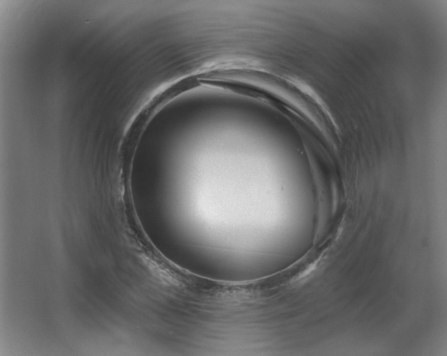 X0000067350973200603311148