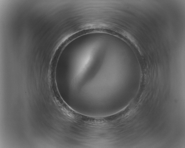 X0000067350975200603311148