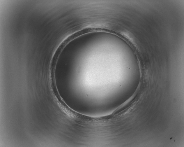 X0000067350976200603311148