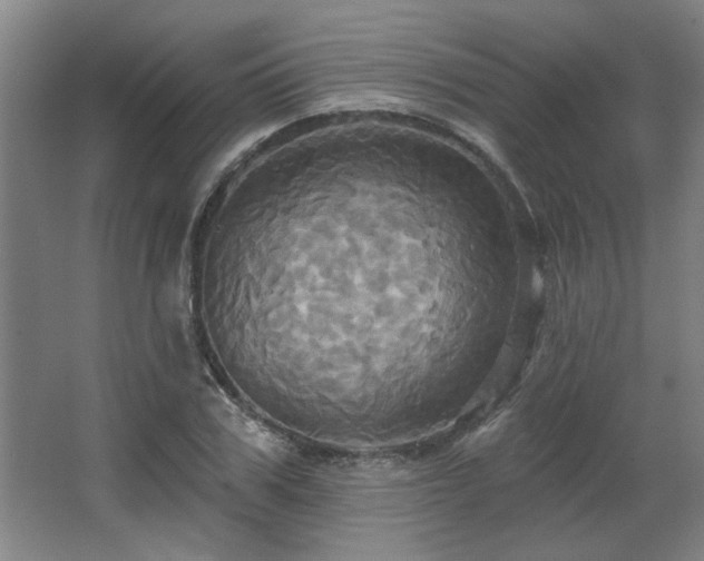 X0000067350979200603311148