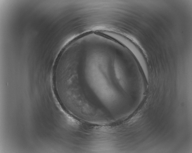 X0000067350991200603311147