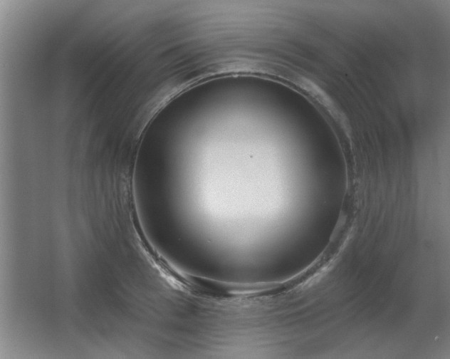 X0000067350993200603311147