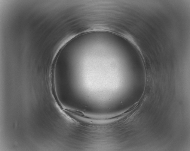 X0000067351003200603311147