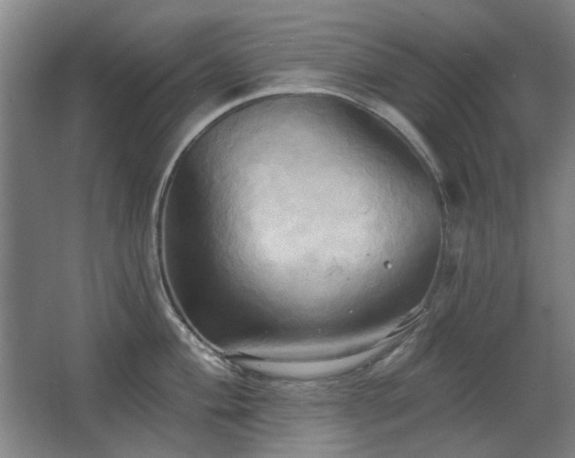 X0000067351004200603311147