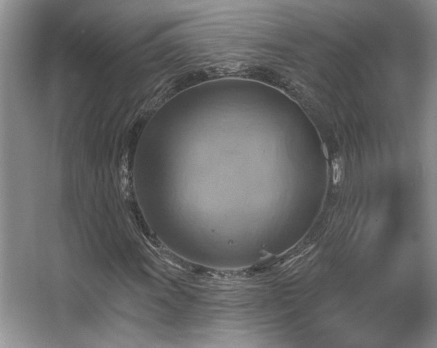 X0000067351011200603311146
