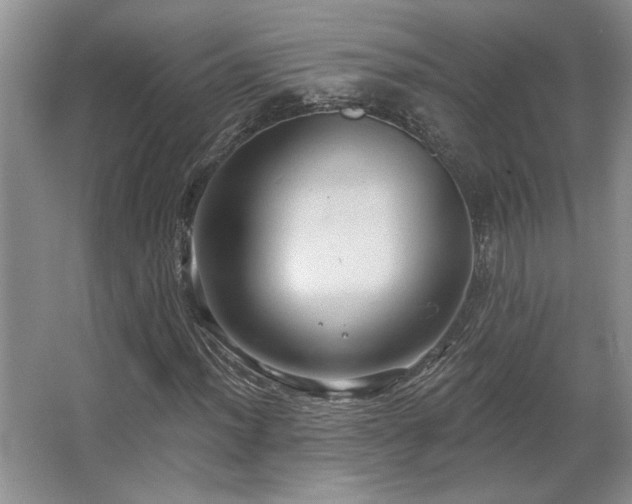 X0000067351012200603311146