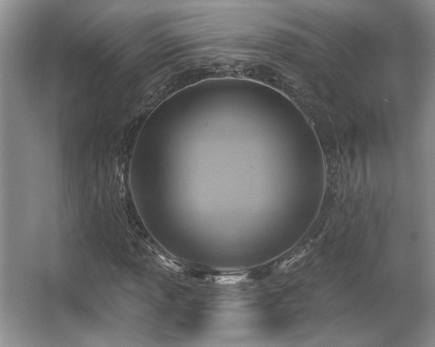 X0000067351013200603311146