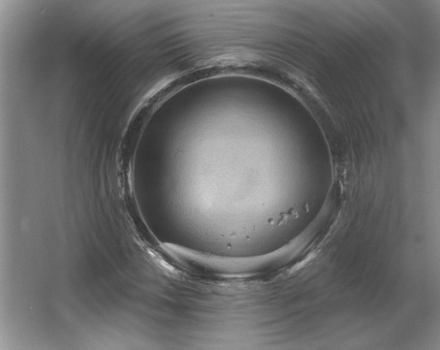X0000067351018200603311146