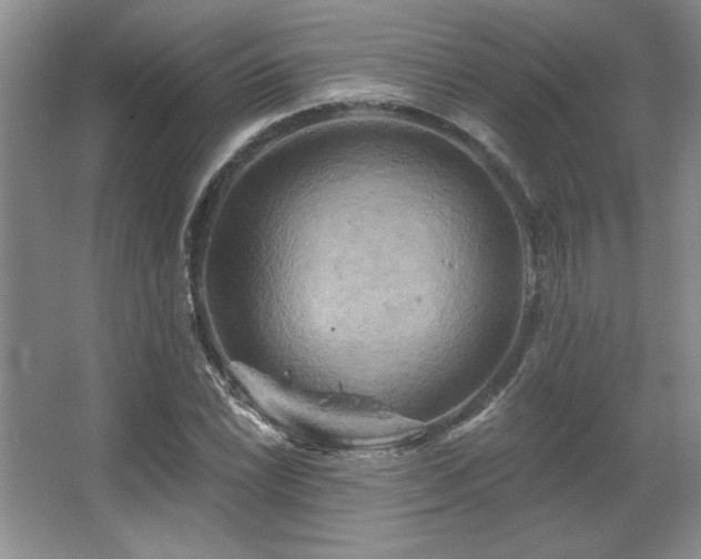 X0000067351022200603311146