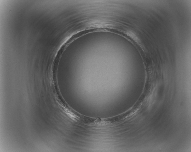 X0000067351023200603311146