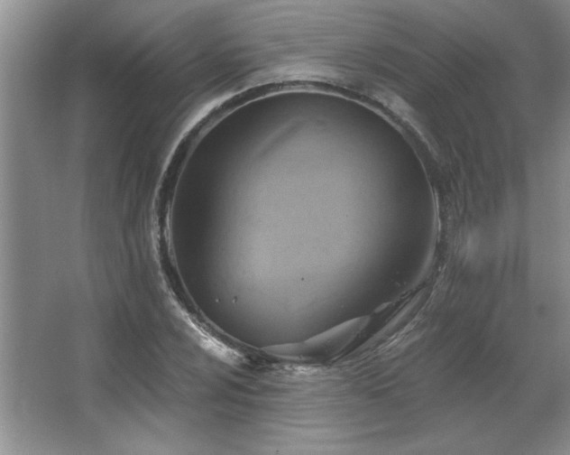 X0000067351024200603311146