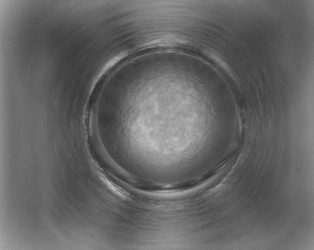 X0000067351026200603311147