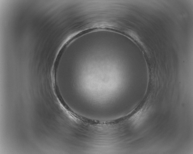 X0000067351032200603311147