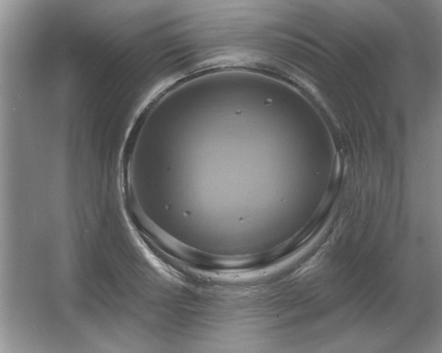 X0000067351034200603311147