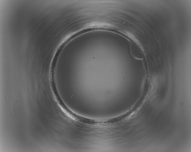X0000067351037200603311147