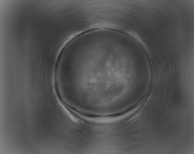 X0000067351040200603311147