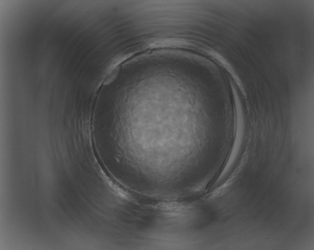 X0000067351041200603311147
