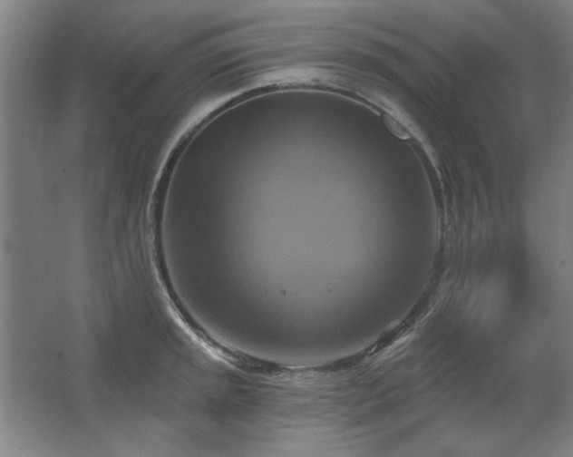 X0000067351045200603311147