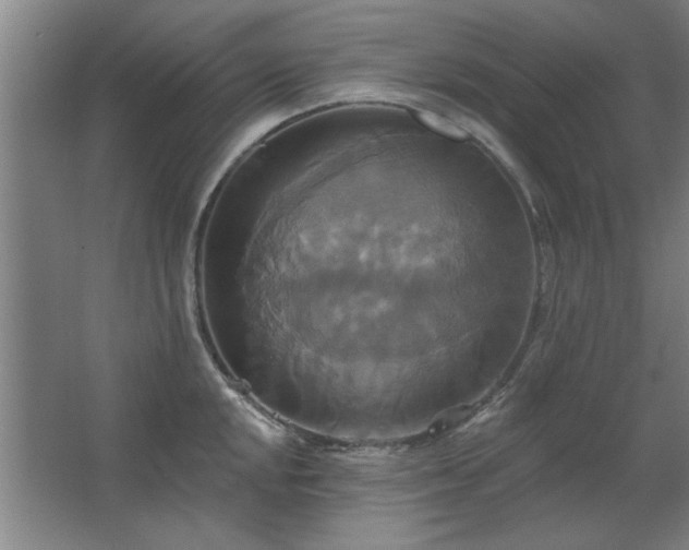 X0000067351048200603311147