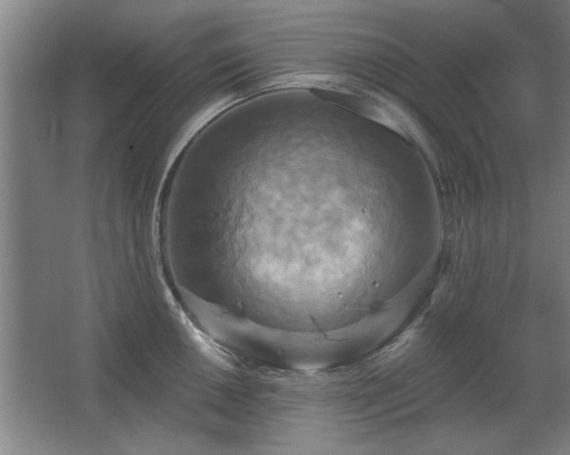 X0000067351050200603311147