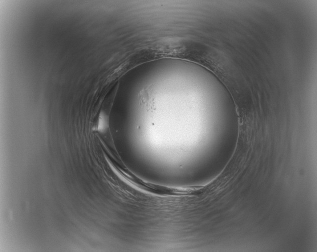 X0000067351058200603311146